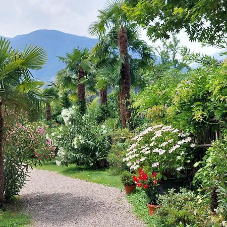 Nora S Home 5 - Panoramic Terrace & Bio Garden Merano Exterior photo