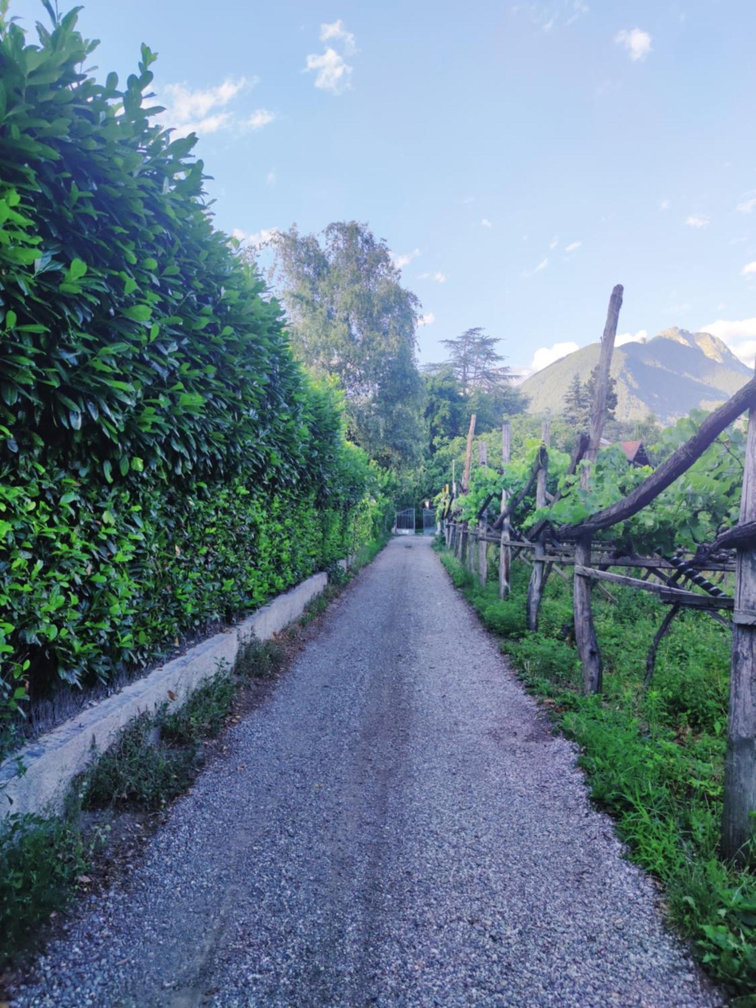 Nora S Home 5 - Panoramic Terrace & Bio Garden Merano Exterior photo